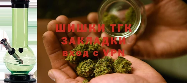 таблы Козельск