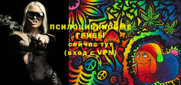 mdpv Киреевск