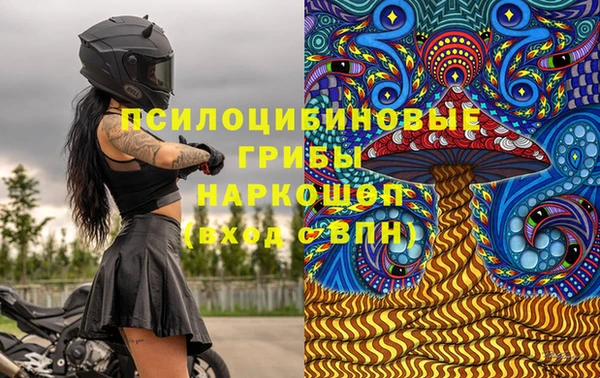 дживик Кинешма